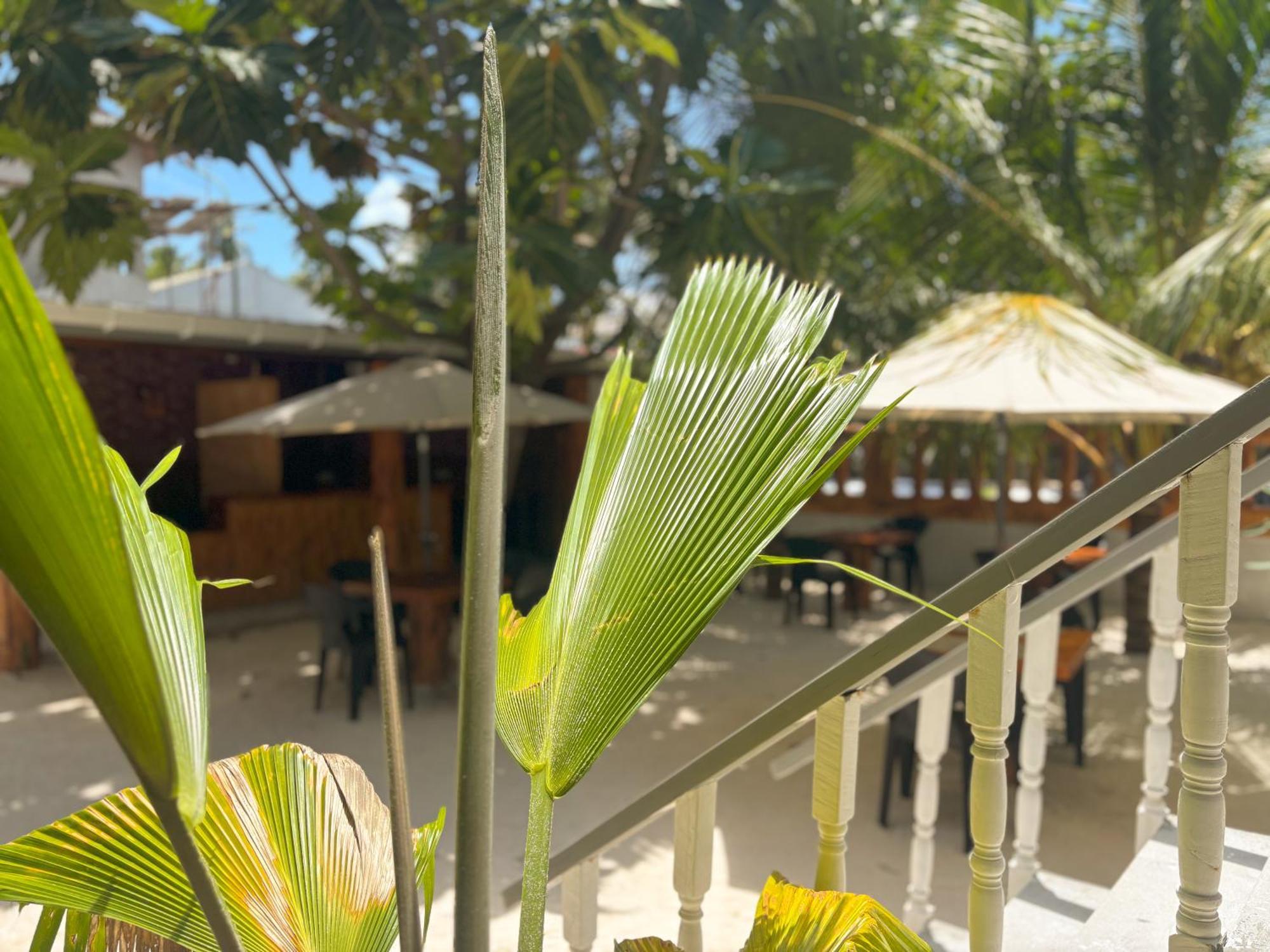 Mathiveri Thundi Inn Ngoại thất bức ảnh